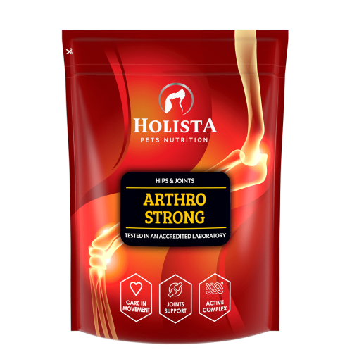 HolistaPets Arthro Strong 600g
